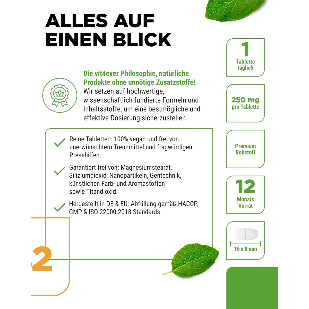 Vit4ever Vitamin B2 (Riboflavin) 250 mg 365 Tabletten – Produkt aus der Nähe