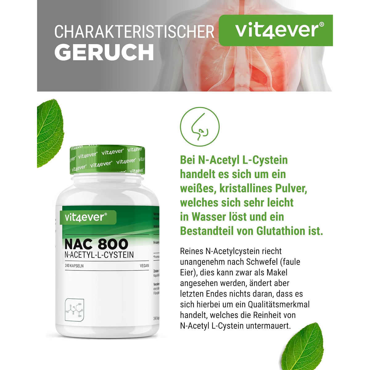Vit4ever NAC N-Acetyl L-Cystein 800 mg 240 Kapseln – Nährwerte und Zutaten auf der Verpackung