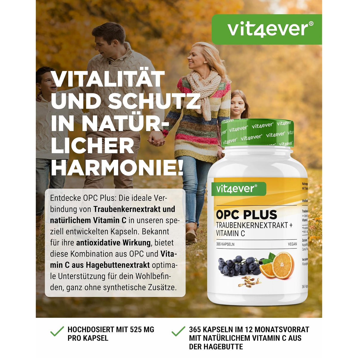 Vit4ever OPC Traubenkernextrakt + Vitamin C 240 & 365 Kapseln – Etikett mit Inhaltsstoffen und Dosierung