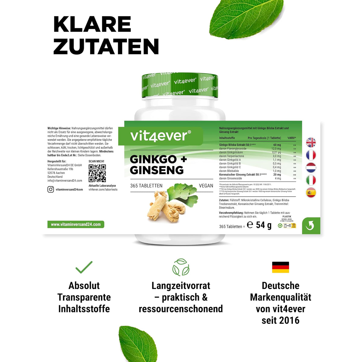 Vit4ever Ginkgo + Ginseng 50:1 Extrakt 365 Tabletten – empfohlene Anwendung und Einnahme