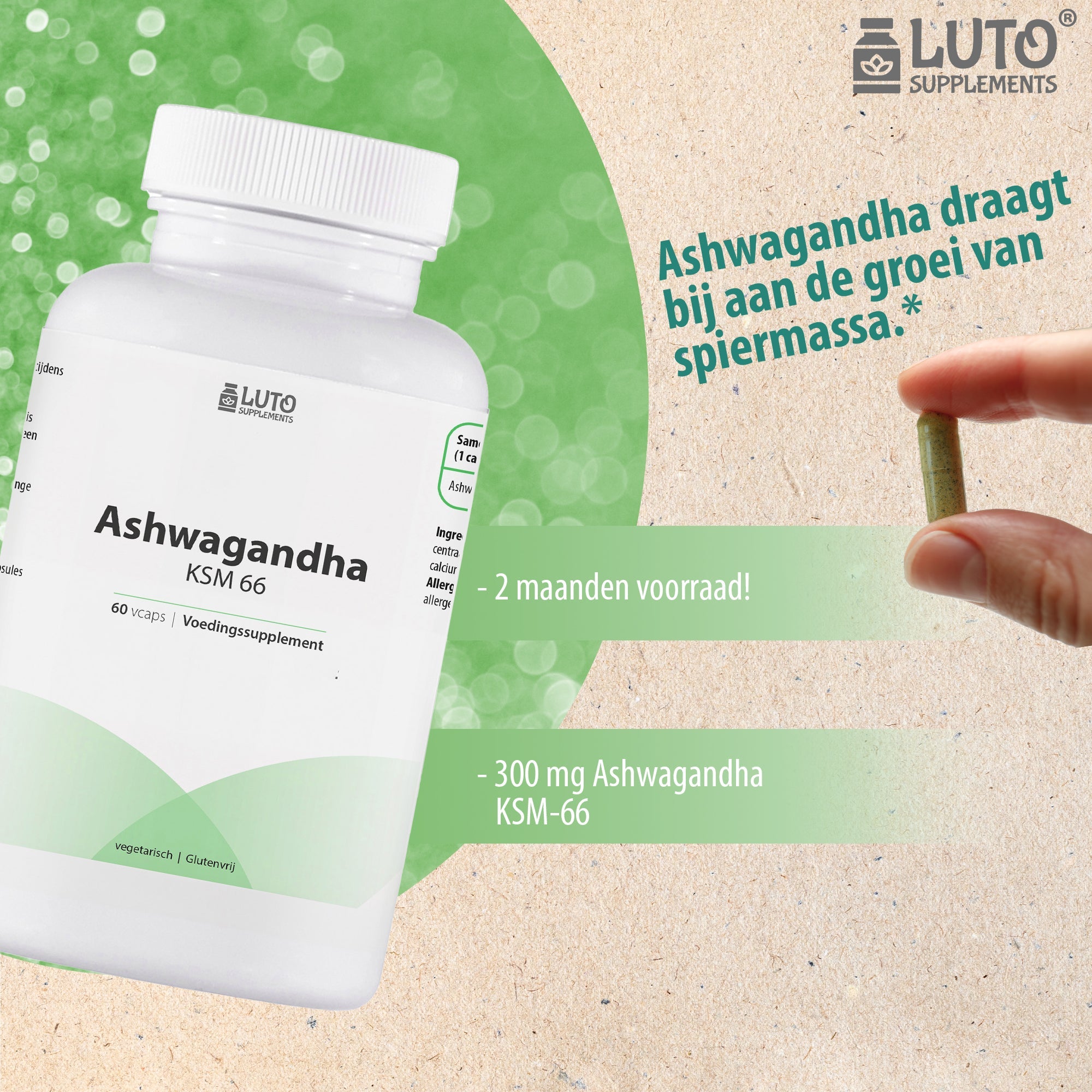 LUTO Ashwagandha KSM-66 voor spiergroei - 2 maanden voorraad met 300mg KSM-66 extract per capsule