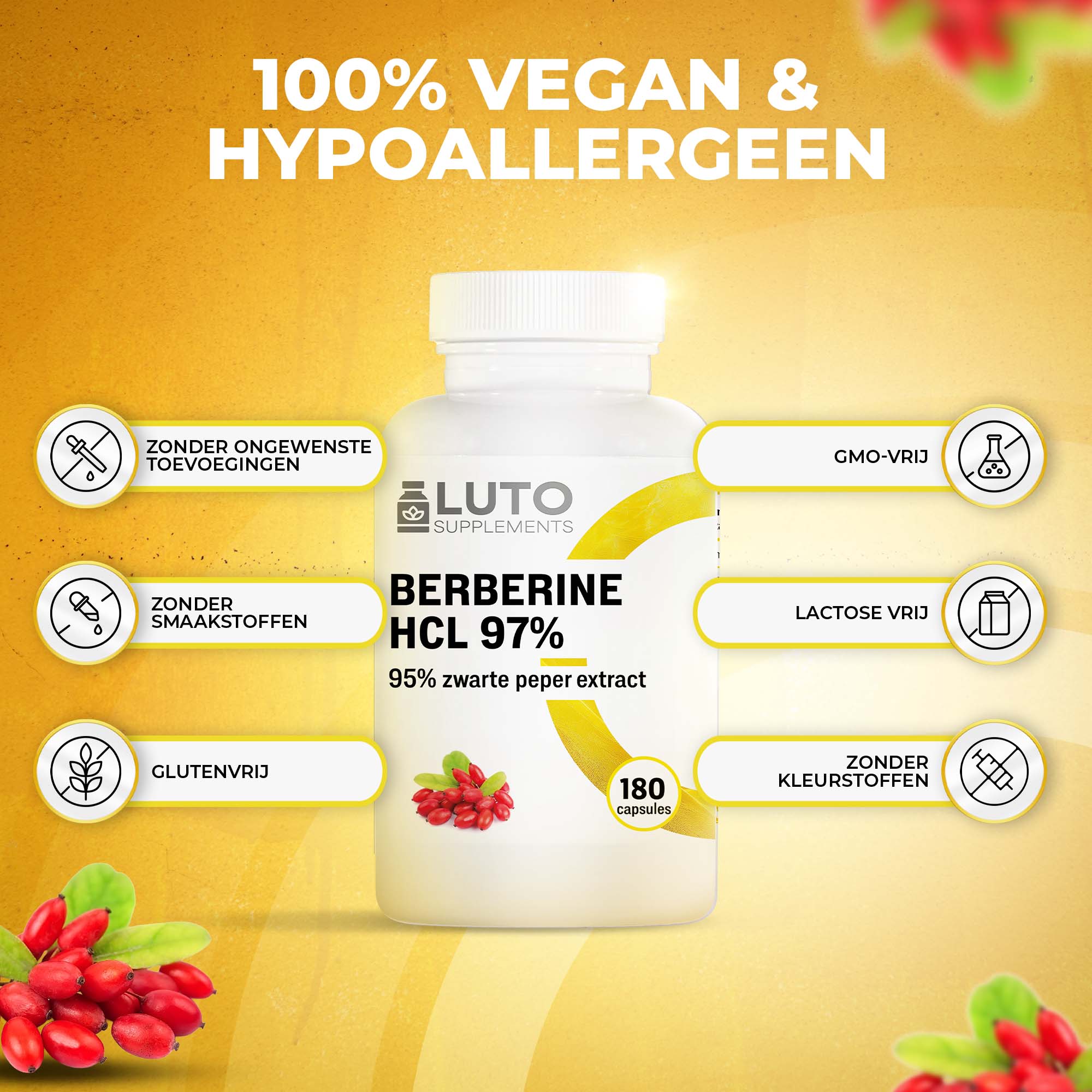 LUTO Berberine HCL 97% 100% vegan en hypoallergeen - glutenvrij, GMO-vrij, lactosevrij en zonder kleurstoffen
