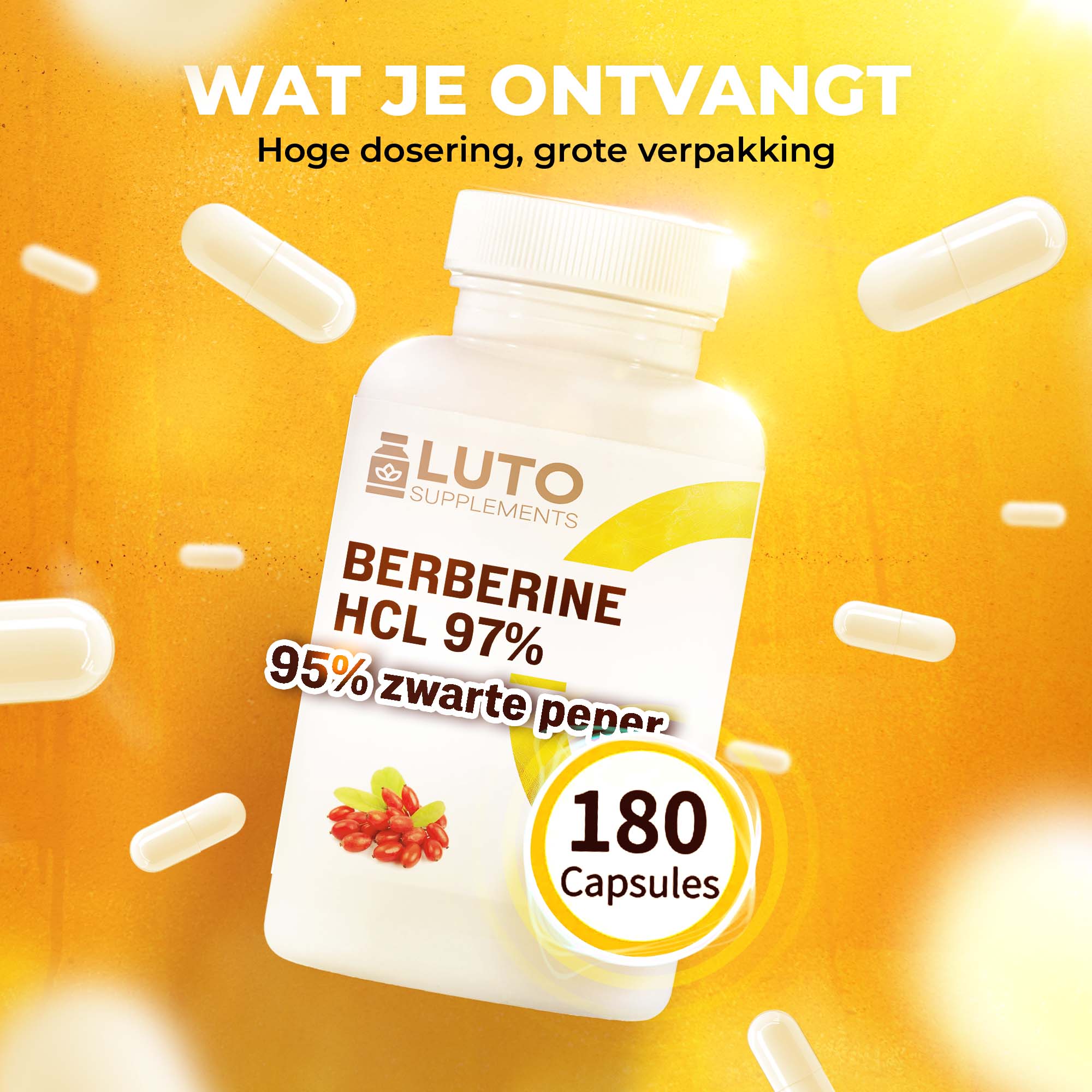 LUTO Berberine HCL 180 capsules voordeelverpakking - hoge dosering 515mg berberine per vegan capsule