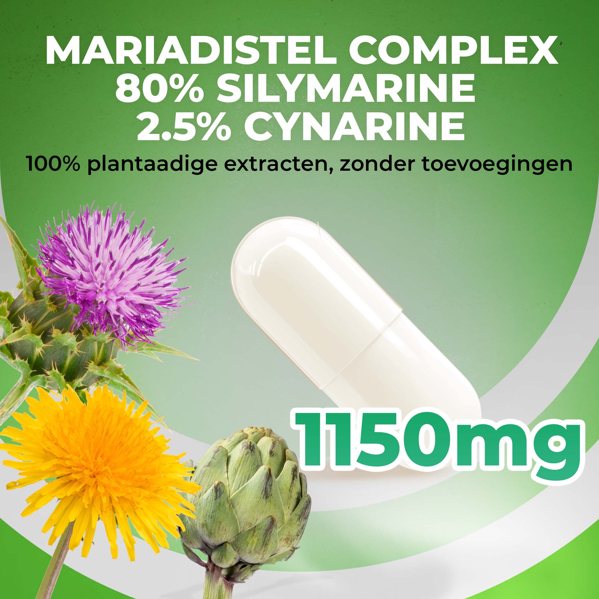 Mariendistel Komplex | 365 Kapseln | LUTO Supplements