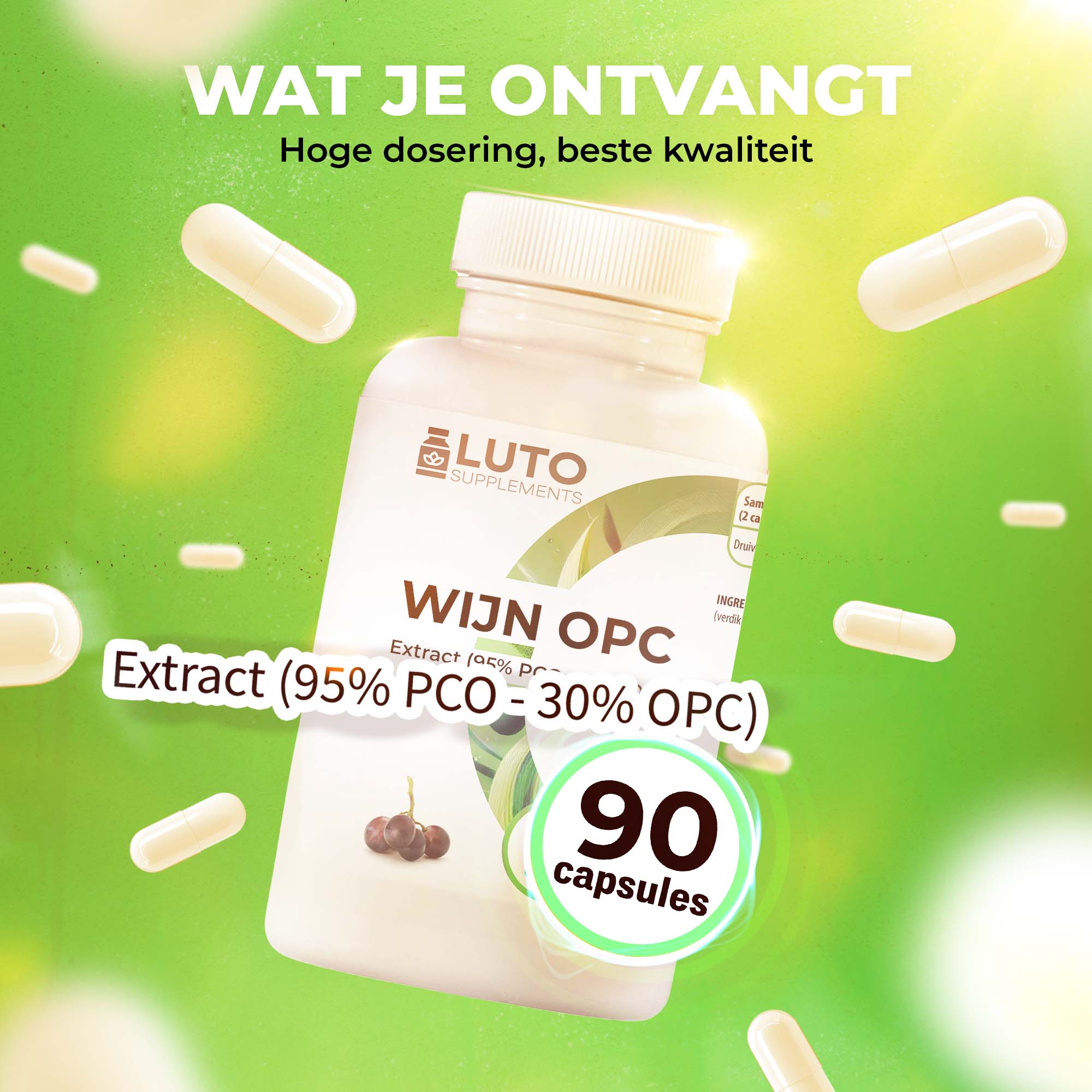 Wein OPC Traubenkernextrakt (95% PCO - 30% OPC) | 90 Kapseln | LUTO Supplements