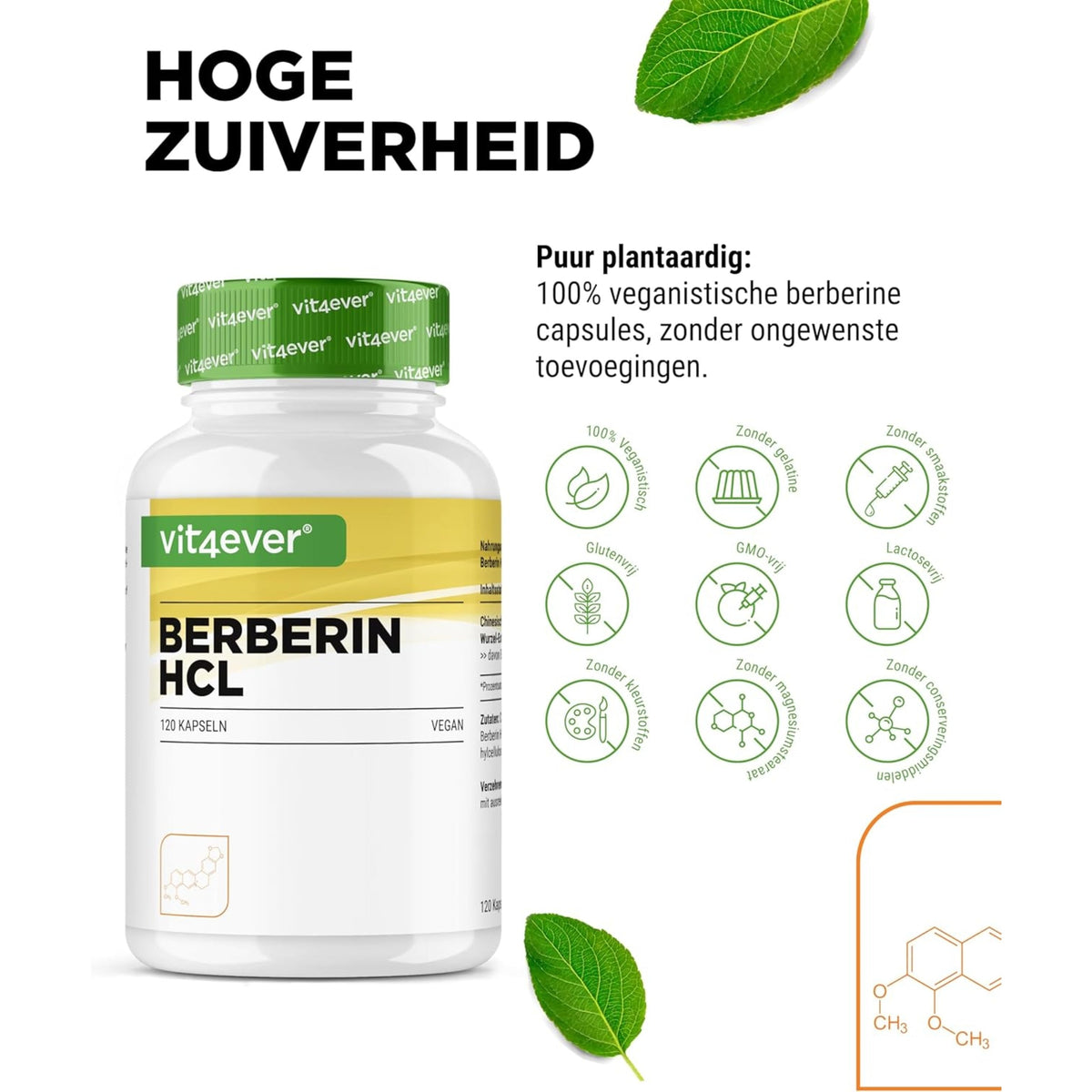 Berberin HCl 97% Intenso 500mg | 120 Kapseln | Vit4ever