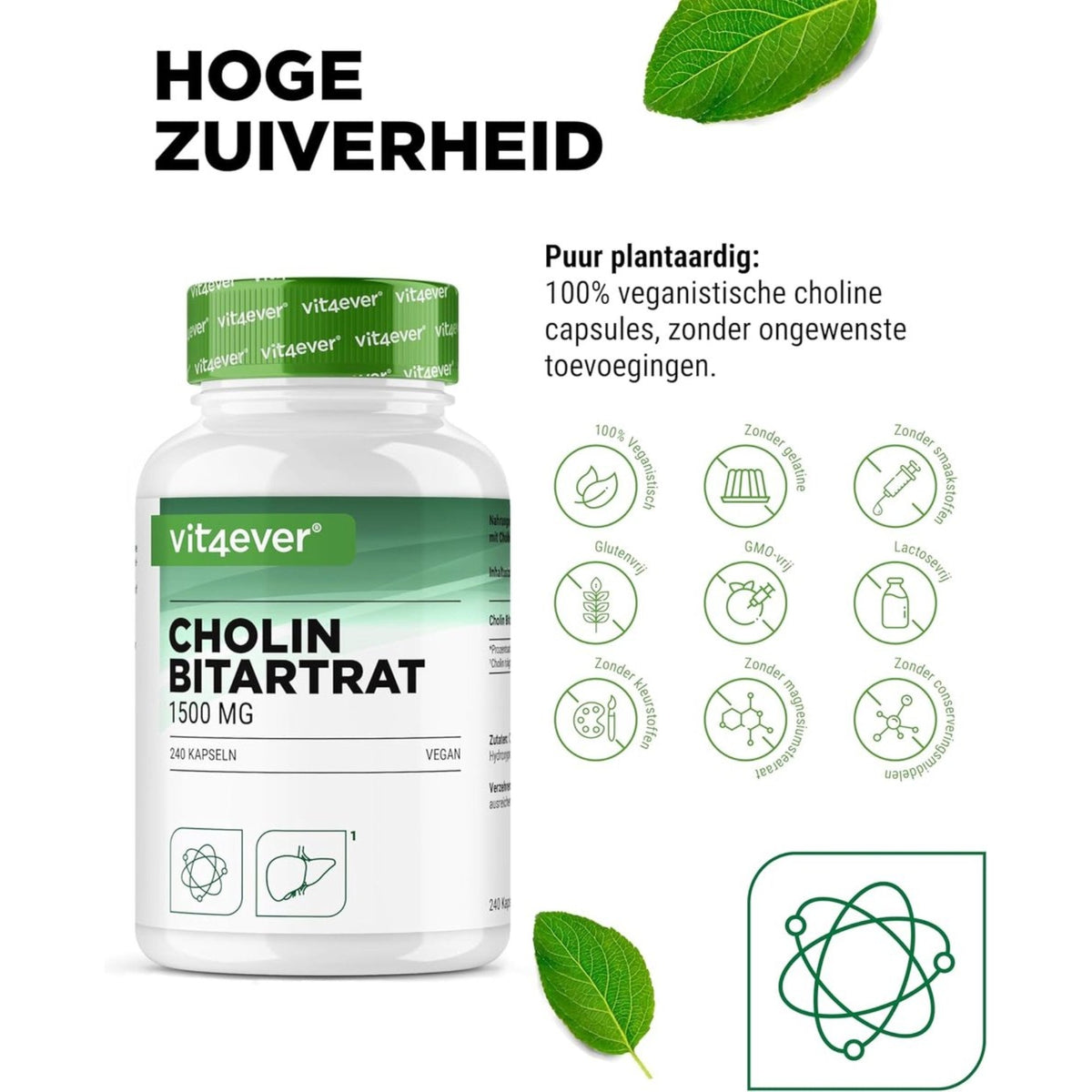Cholin-Bitartrat 750 mg | 240 Kapseln | Vit4ever