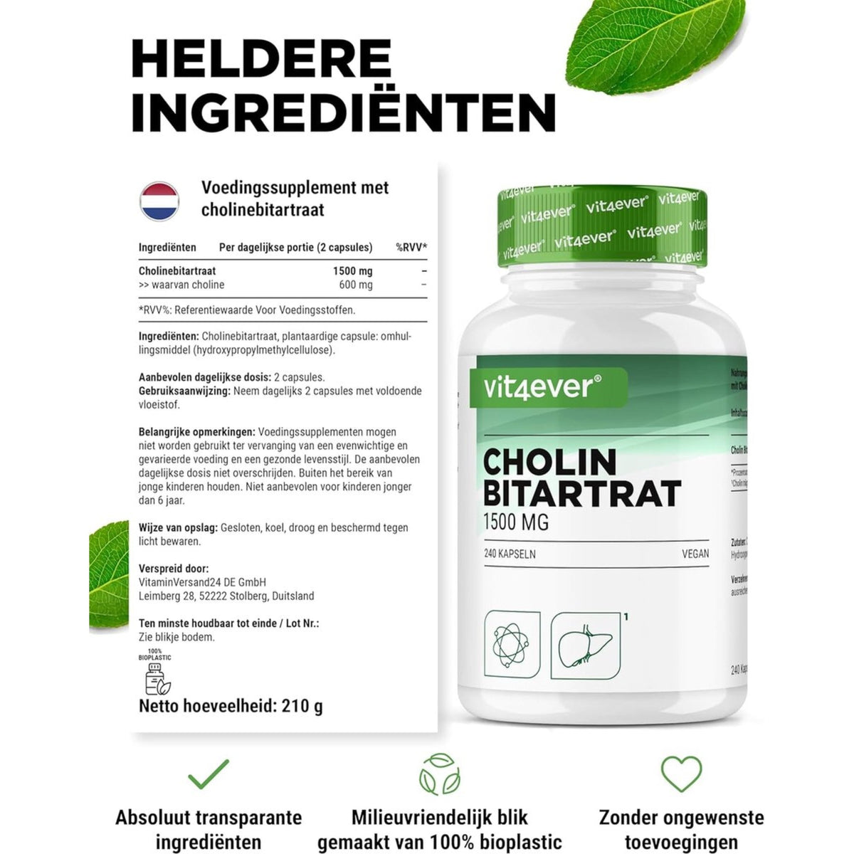 Cholin-Bitartrat 750 mg | 240 Kapseln | Vit4ever