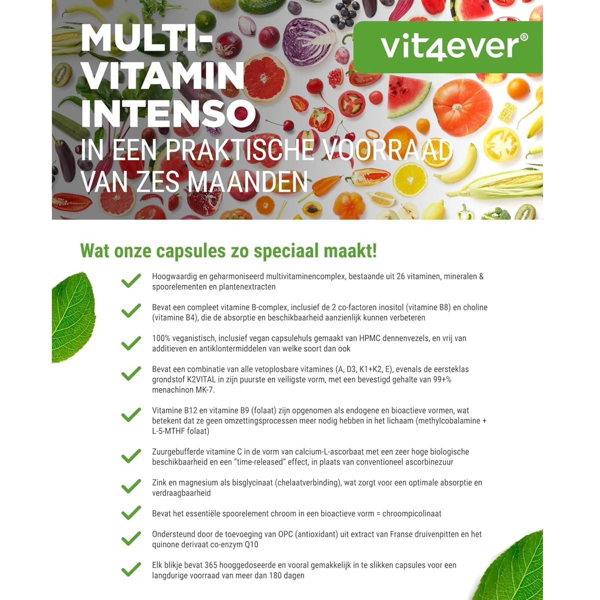 Multivitamin Intenso | 26 Aktivstoffe | 365 Kapseln | Vit4ever
