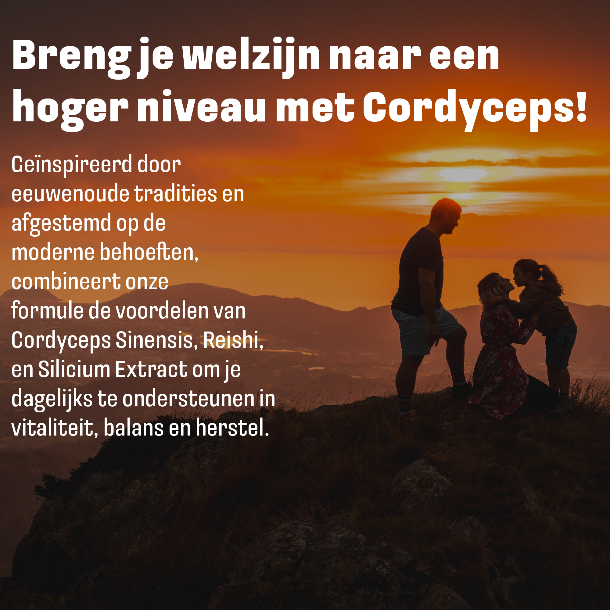 Pure ingrediënten Cordyceps Plus LUTO - cordyceps sinensis, reishi extract 20% en silicium uit bamboo