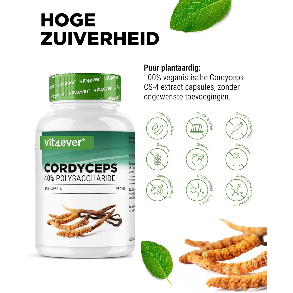 Cordyceps Sinensis CS-4 40% | 180 & 300 Kapseln | Vit4ever