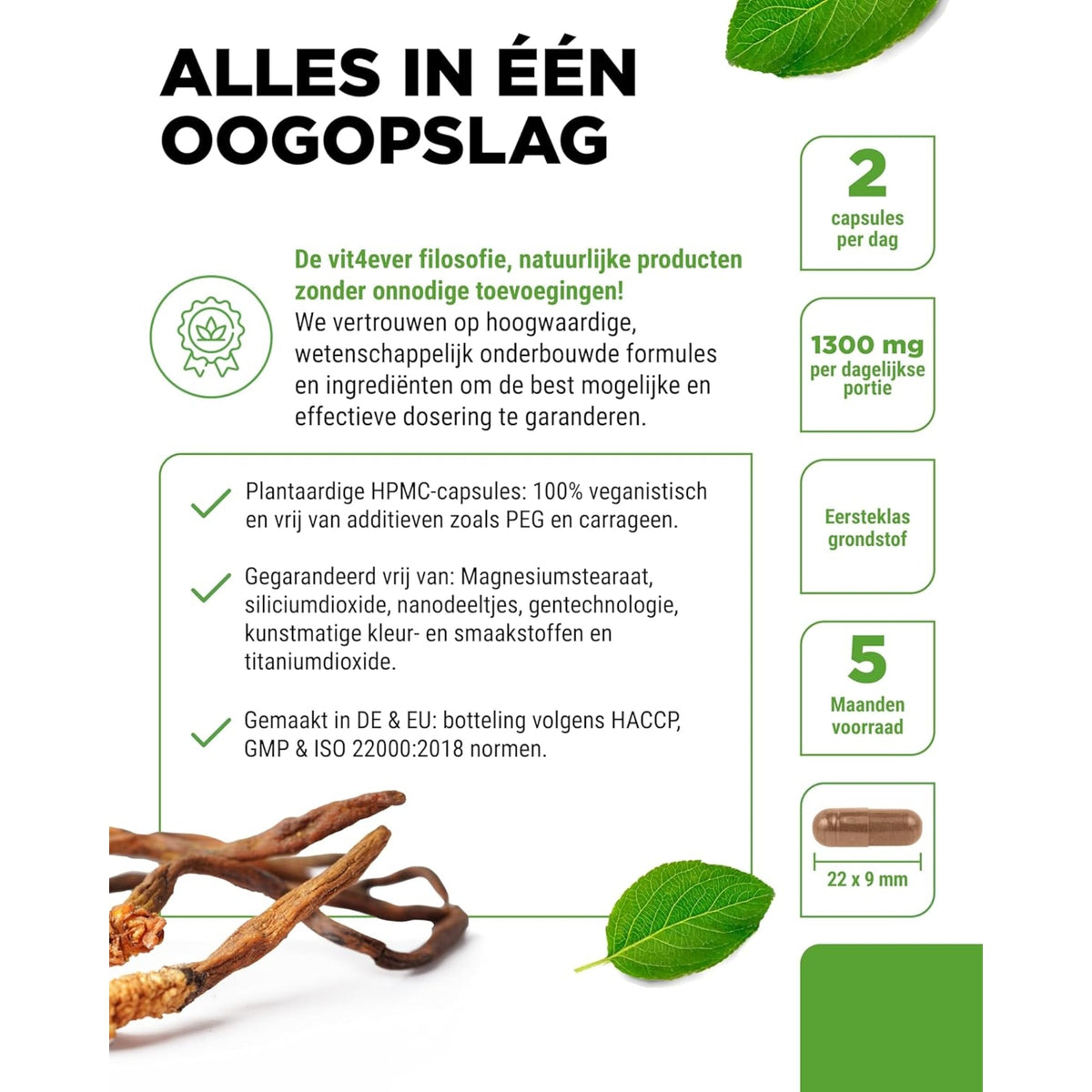 Cordyceps Sinensis CS-4 40% | 180 & 300 Kapseln | Vit4ever