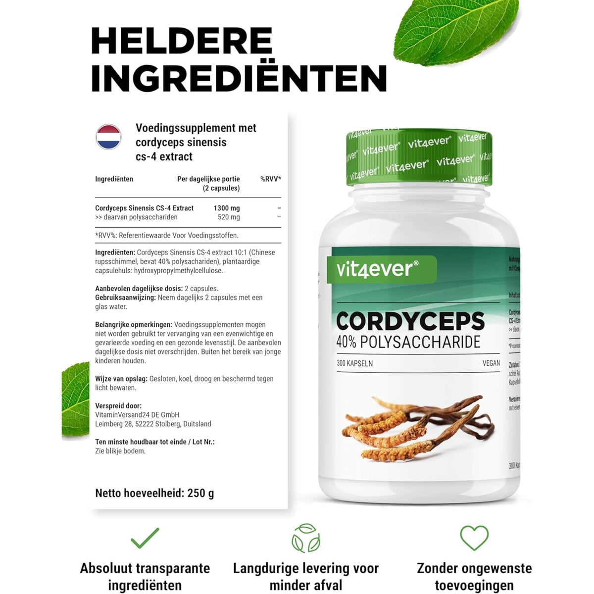 Cordyceps Sinensis CS-4 40% | 180 & 300 Kapseln | Vit4ever