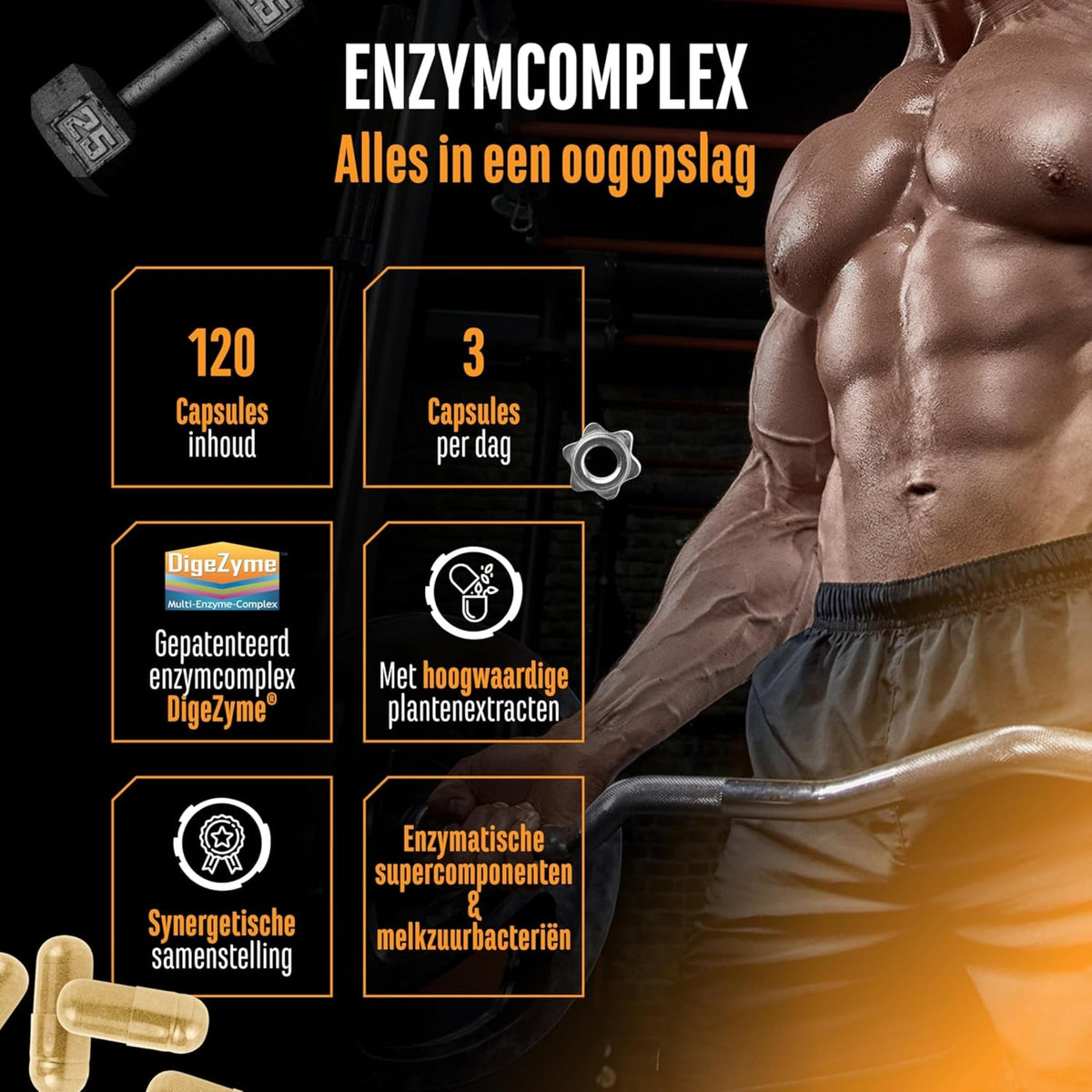Enzyme Complex (DigeZyme®, Probiotika & Pflanzenextrakte) | 120 Kapseln | German Elite Nutrition