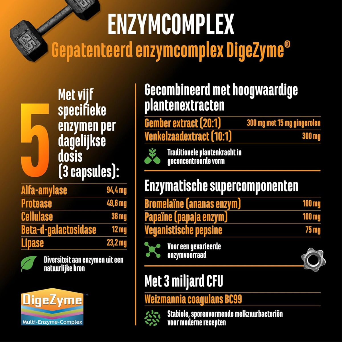 Enzyme Complex (DigeZyme®, Probiotika & Pflanzenextrakte) | 120 Kapseln | German Elite Nutrition