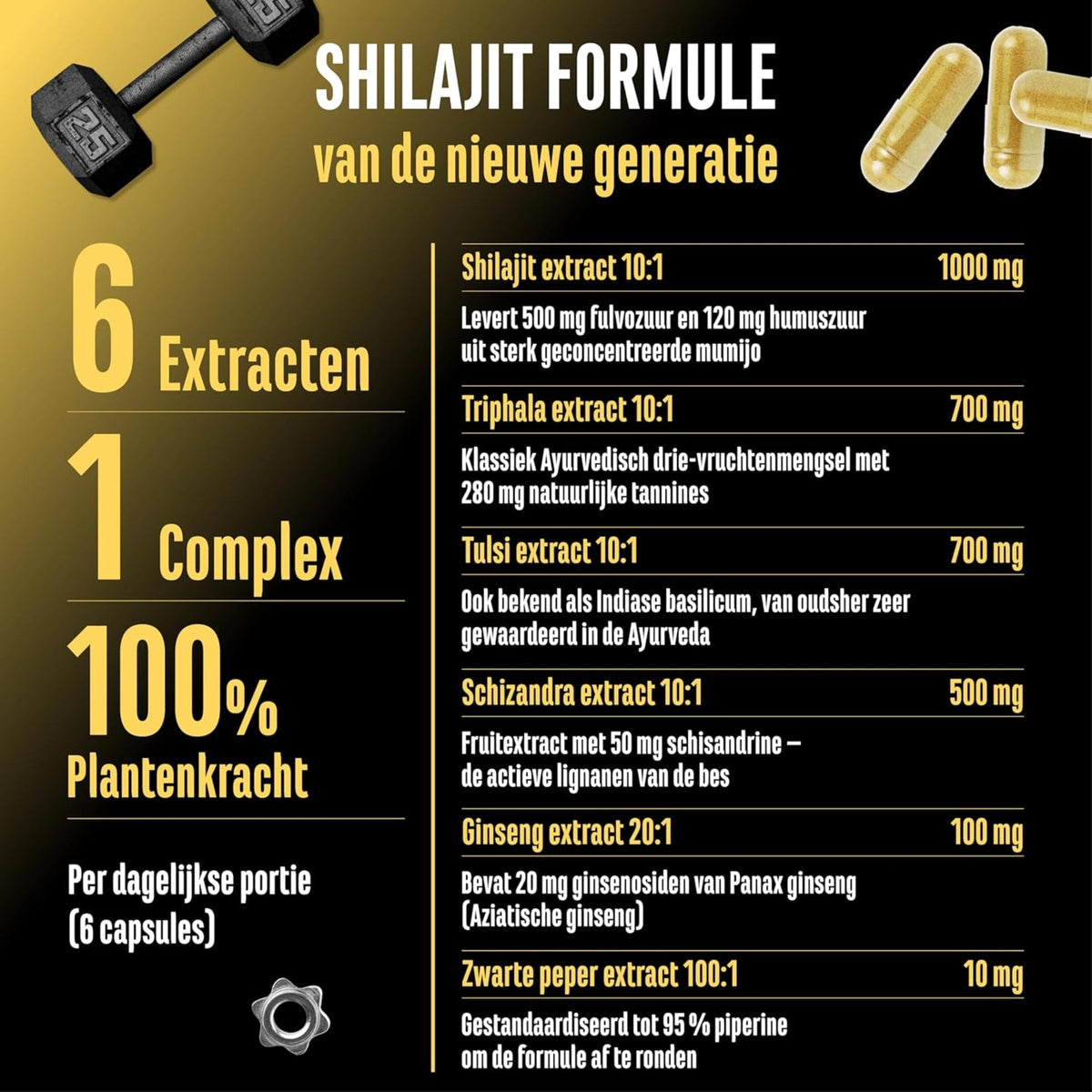 Shilajit Complex (Shilajit, Triphala, Tulsi, Ginseng, Schisandra & Piperine) | 180 Kapseln | German Elite Nutrition