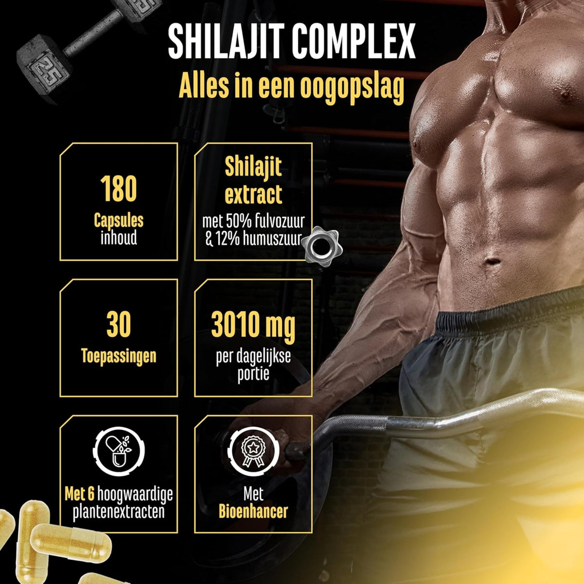 Shilajit Complex (Shilajit, Triphala, Tulsi, Ginseng, Schisandra & Piperine) | 180 Kapseln | German Elite Nutrition