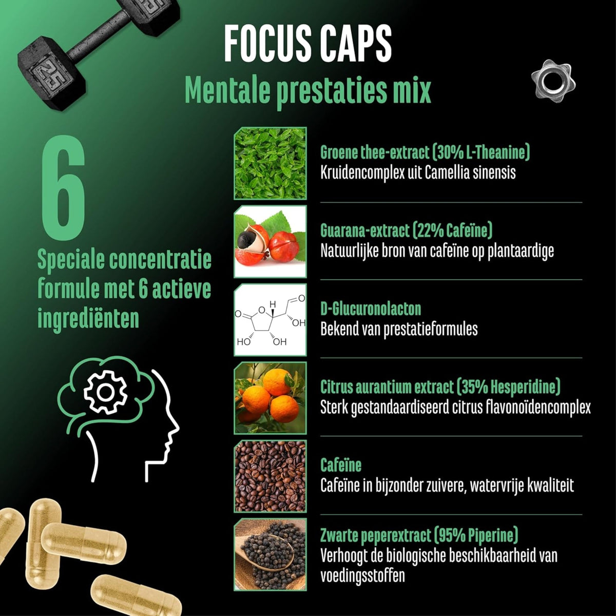 Focus Caps (Mental Performance Blend) 320mg Koffein | 120 Kapseln | German Elite Nutrition
