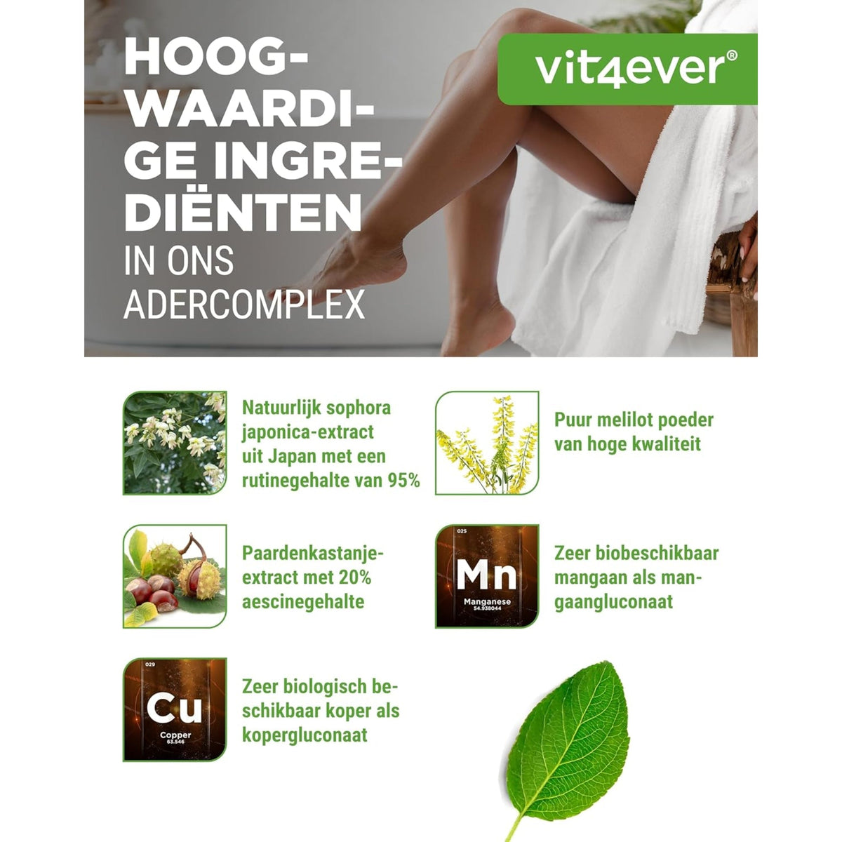 Venen Complex mit Honigbaum & Escin | 180 Kapseln | Vit4ever