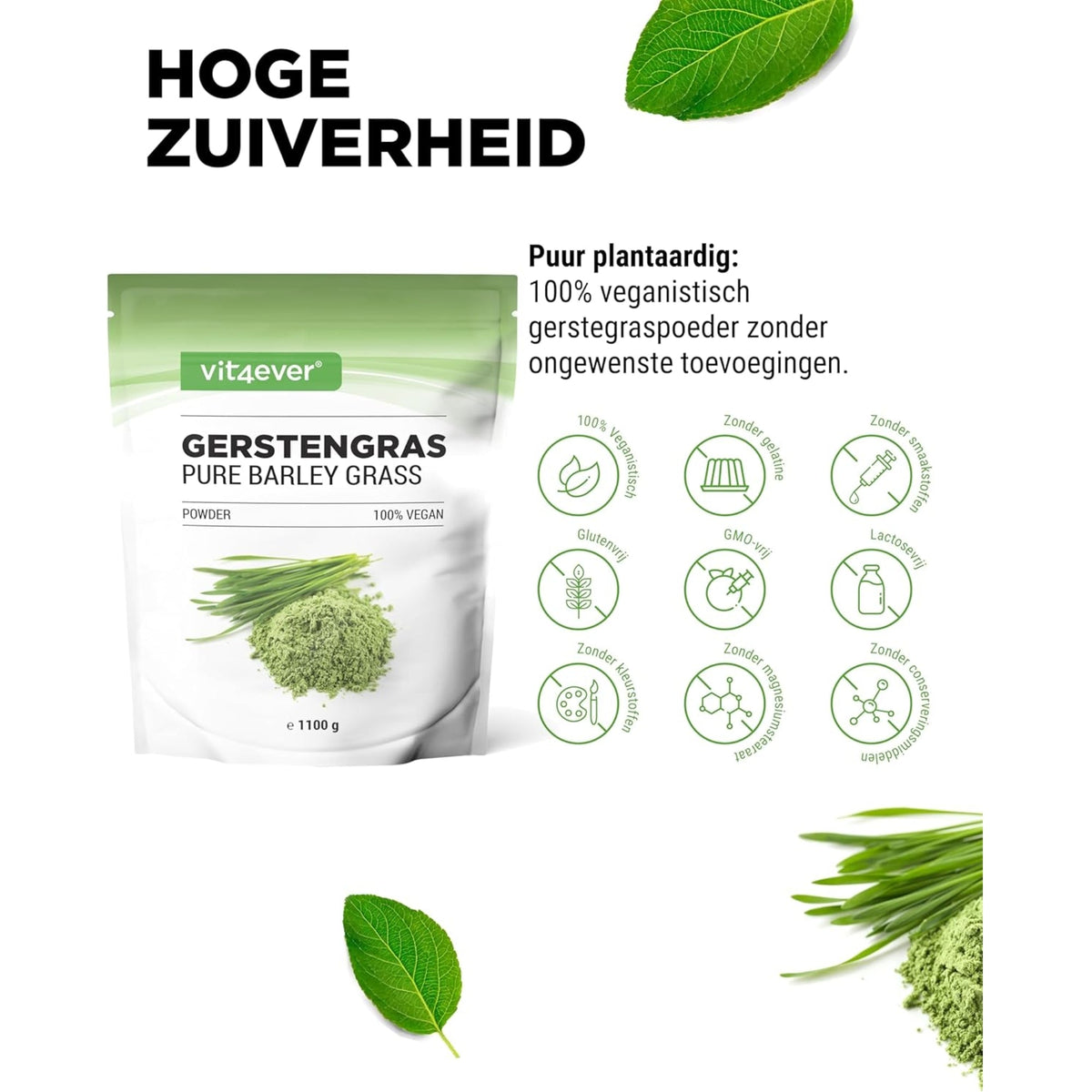 Gerstengras Pulver | 1,1 kg | Vit4ever