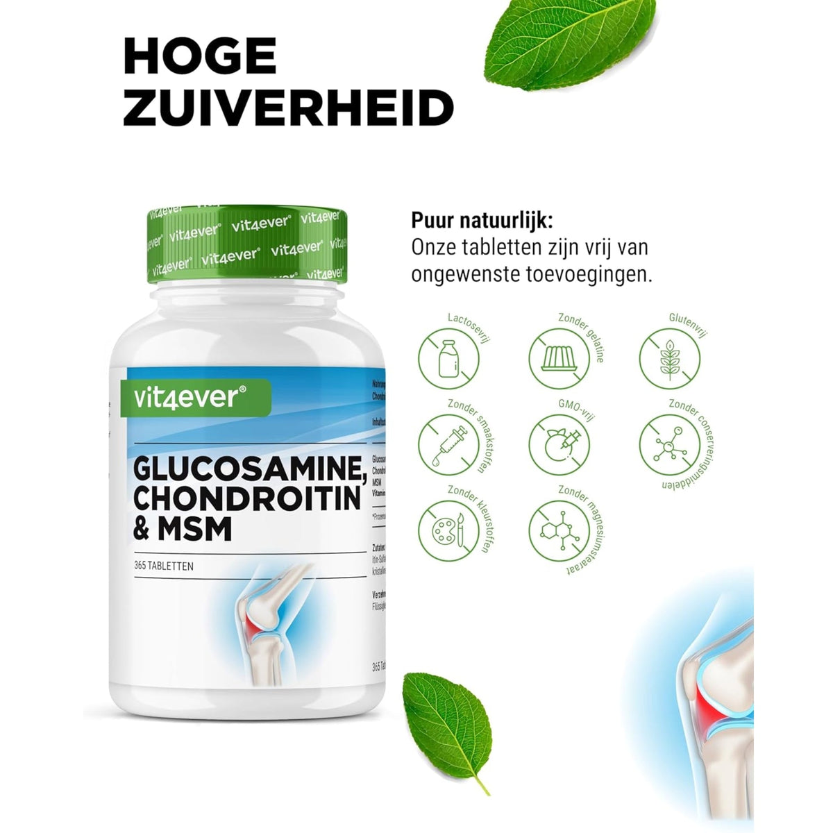 Glucosamin Chondroitin & MSM | 365 Tabletten | Vit4ever