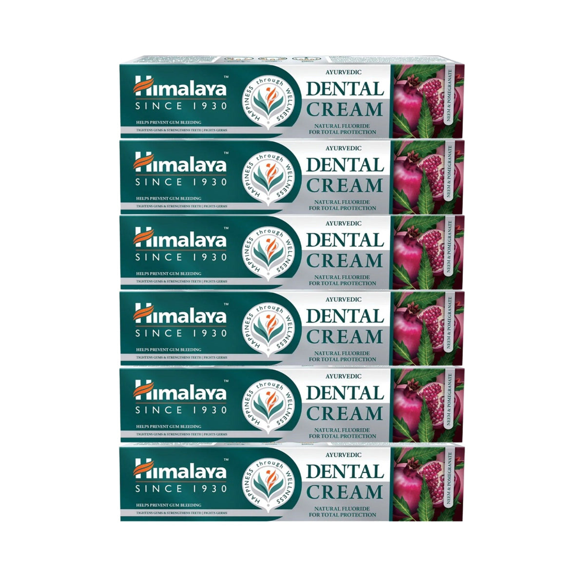 Ayurvedic Dental Cream mit natürlichem Fluorid | 100 g | Himalaya