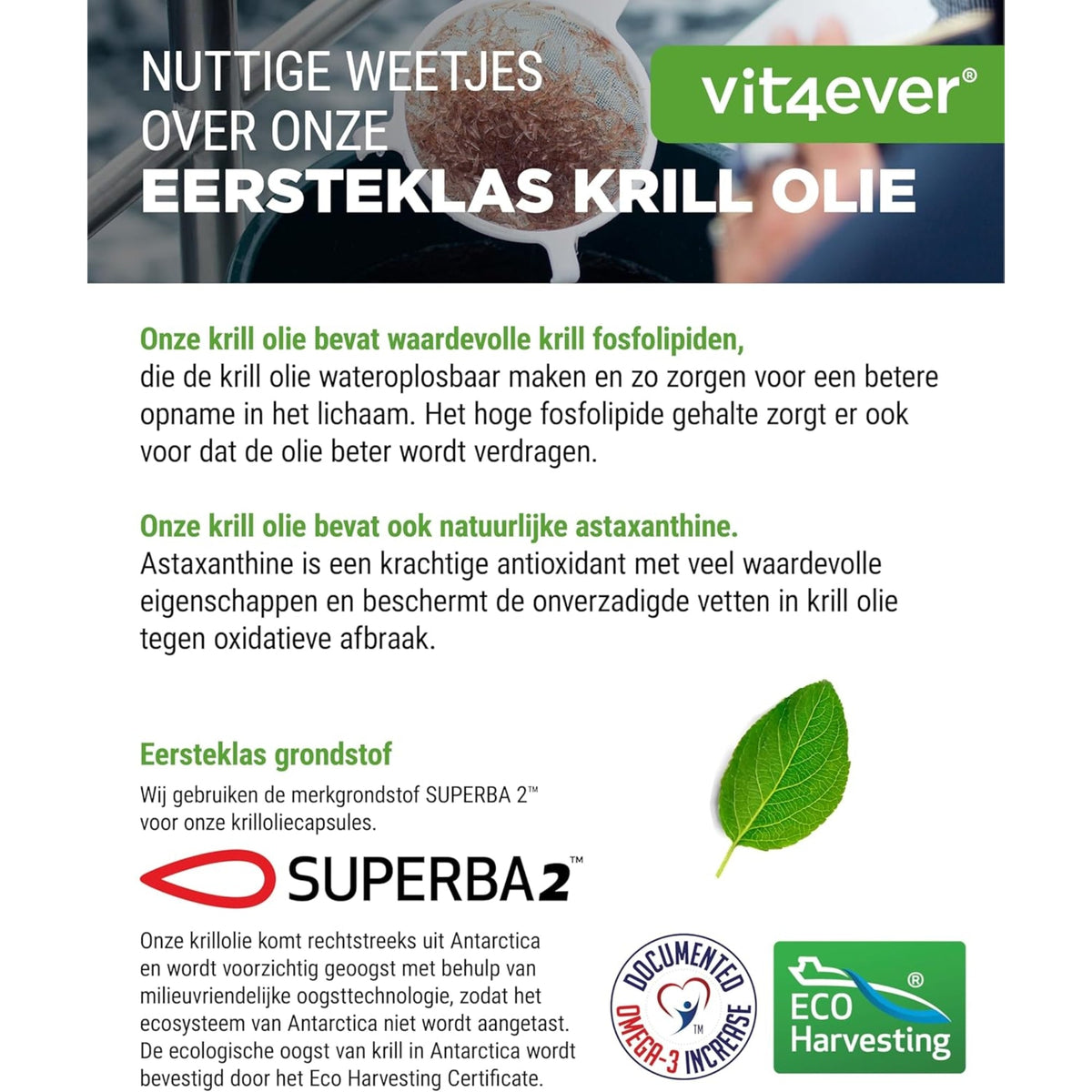 Krillöl Superba2 mit Omega 3 & Astaxanthin | 120 Softgels | Vit4ever