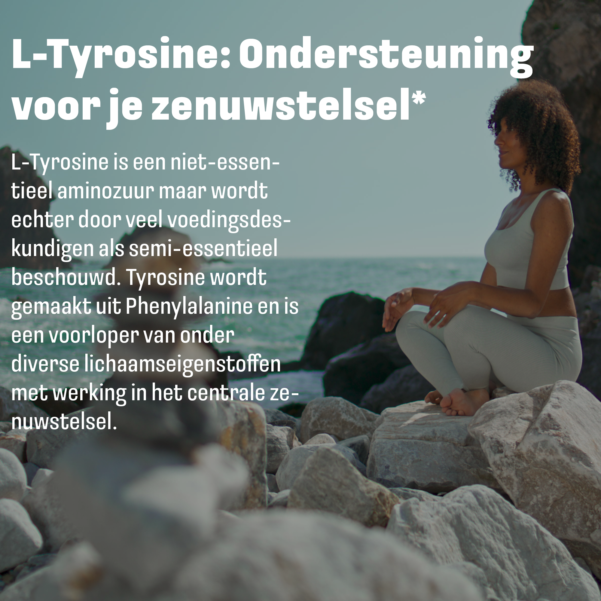 LUTO L-Tyrosine 1200mg voor cognitieve gezondheid en focus - plantaardige aminozuur capsules
