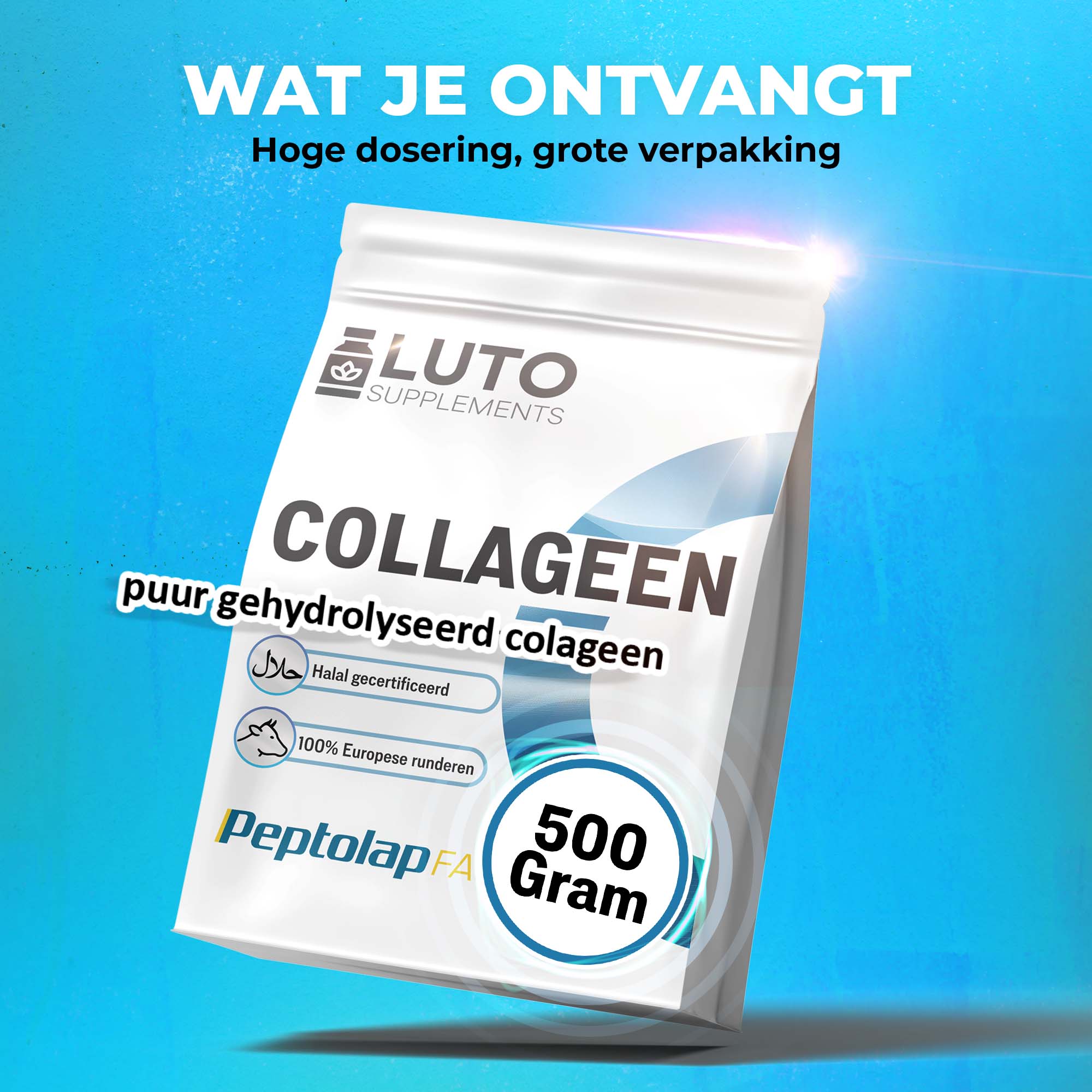 Peptolap Fast hydrolysiertes Halal Kollagenpulver Typ I & III | 500 g | LUTO Supplements