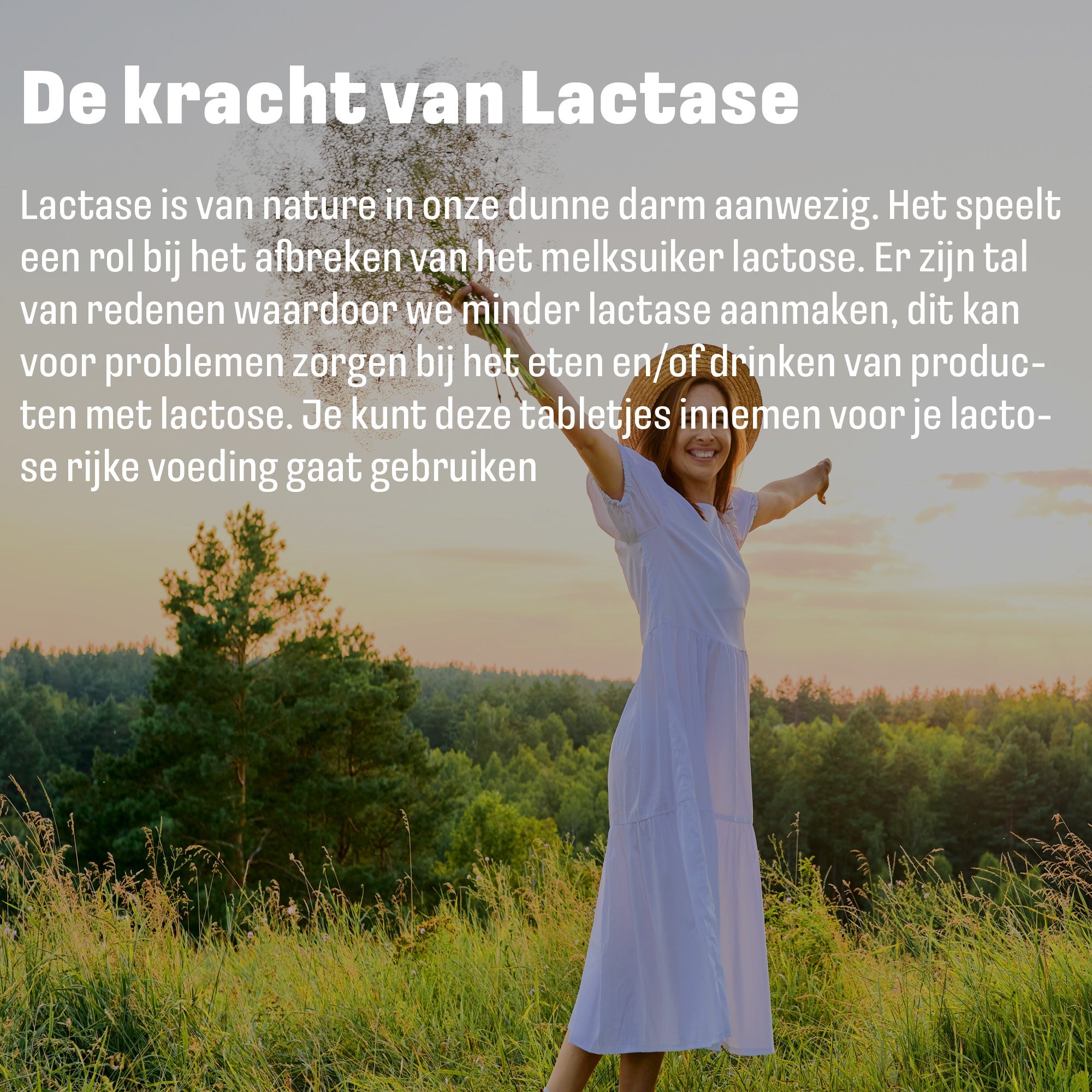 Lactase 5.000 FCC | 60 Tabletten | LUTO Supplements