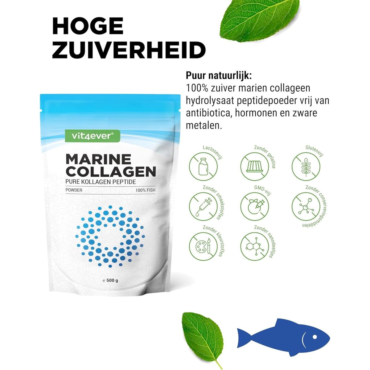 Marine Kollagen (Hydrolysiertes Fisch-Kollagen) | 31 Portionen | 500 g | Vit4ever