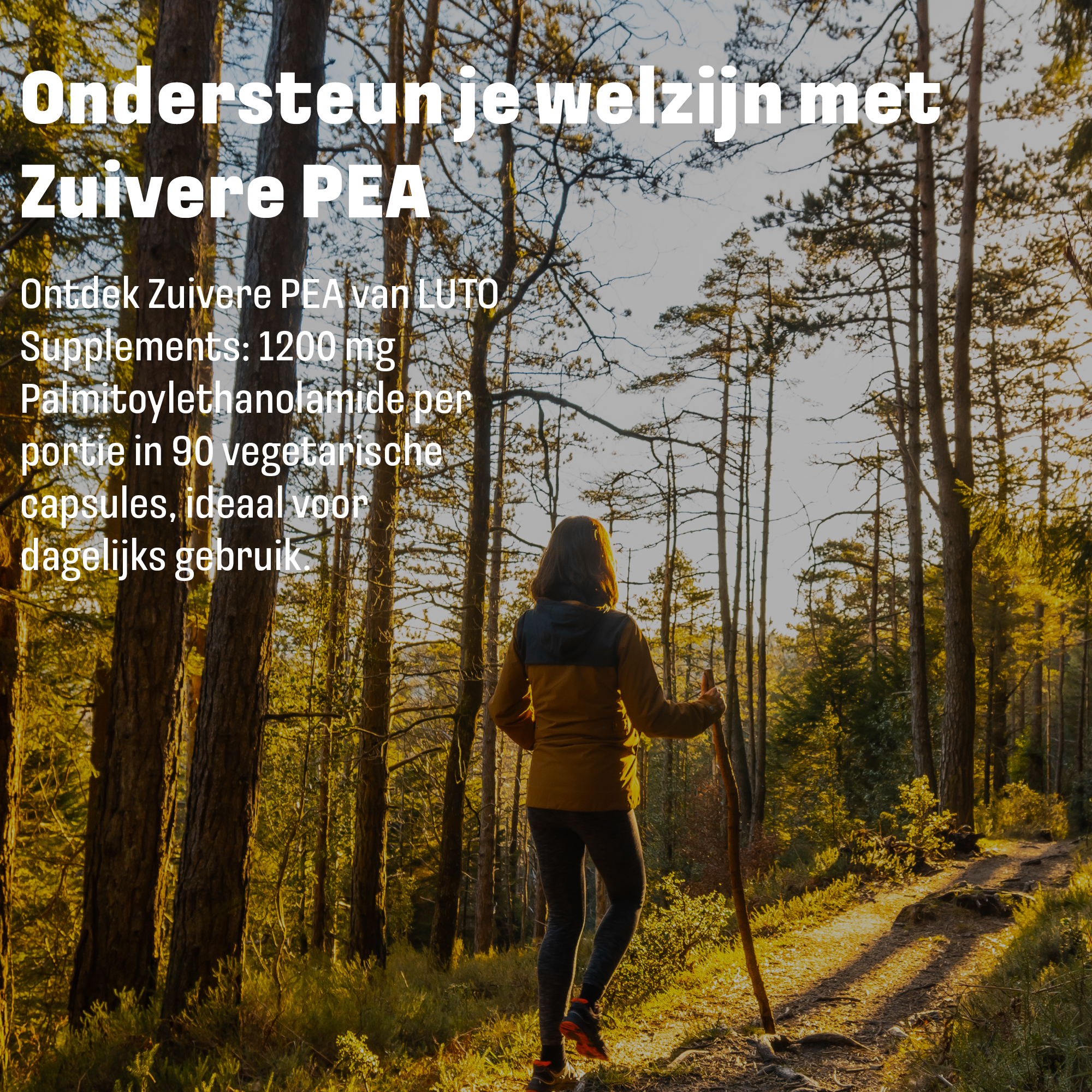 LUTO PEA 1200mg voor dagelijkse ondersteuning - plantaardig supplement voor gezondheid en welzijn