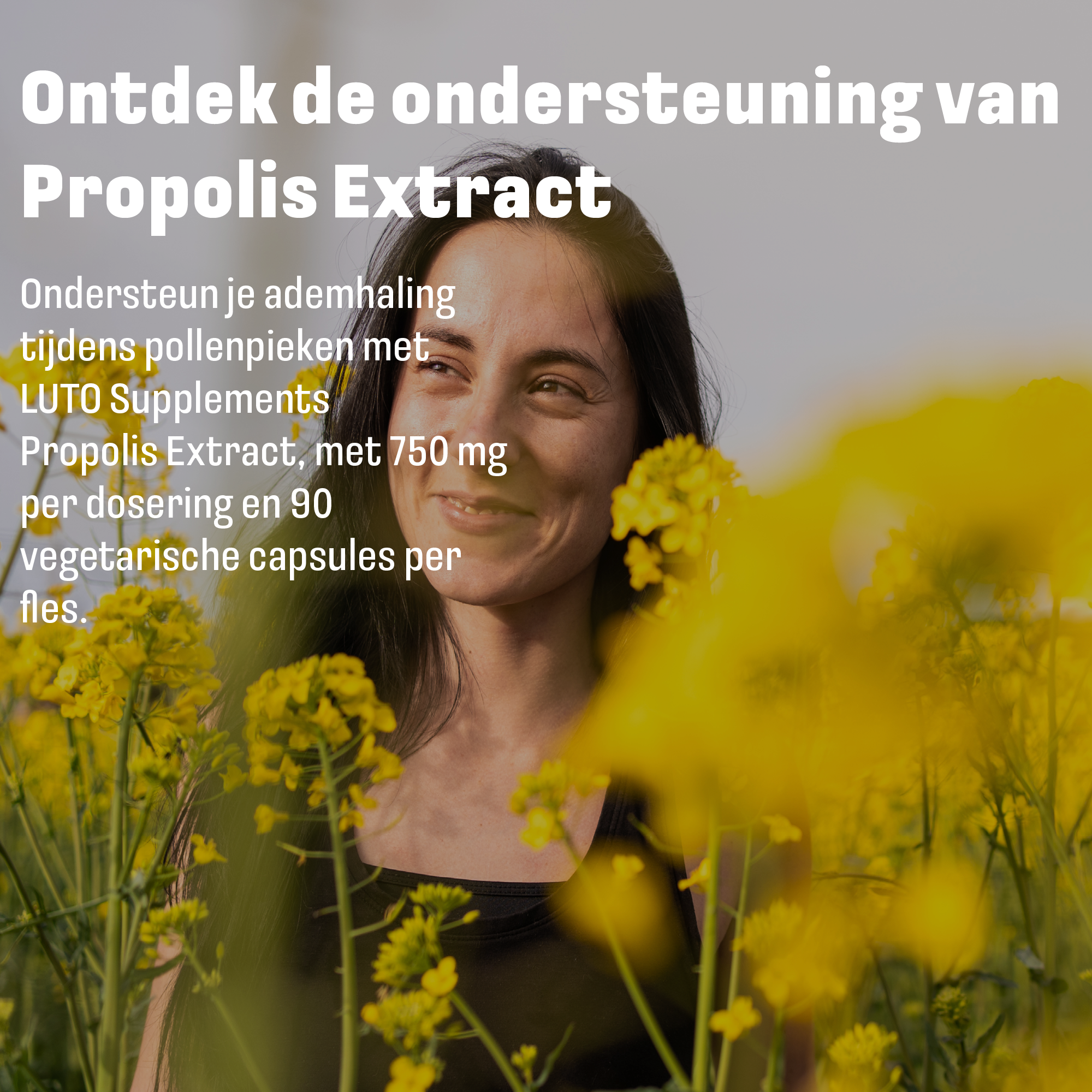 Propolis Extrakt 750 mg | 90 Kapseln | LUTO Supplements