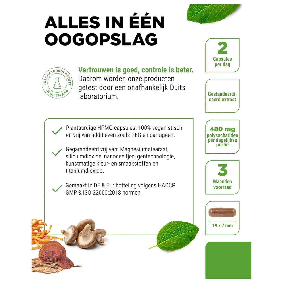 Pilze Komplex 5 Sorten | 180 Kapseln | Vit4ever