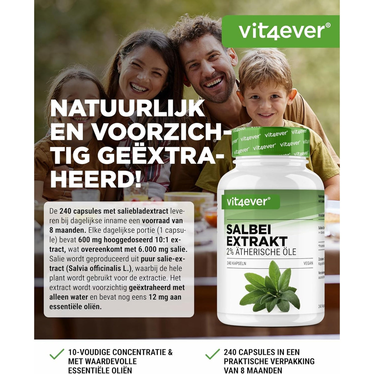 Salbei-Extrakt 10:1 | 240 Kapseln | Vit4ever