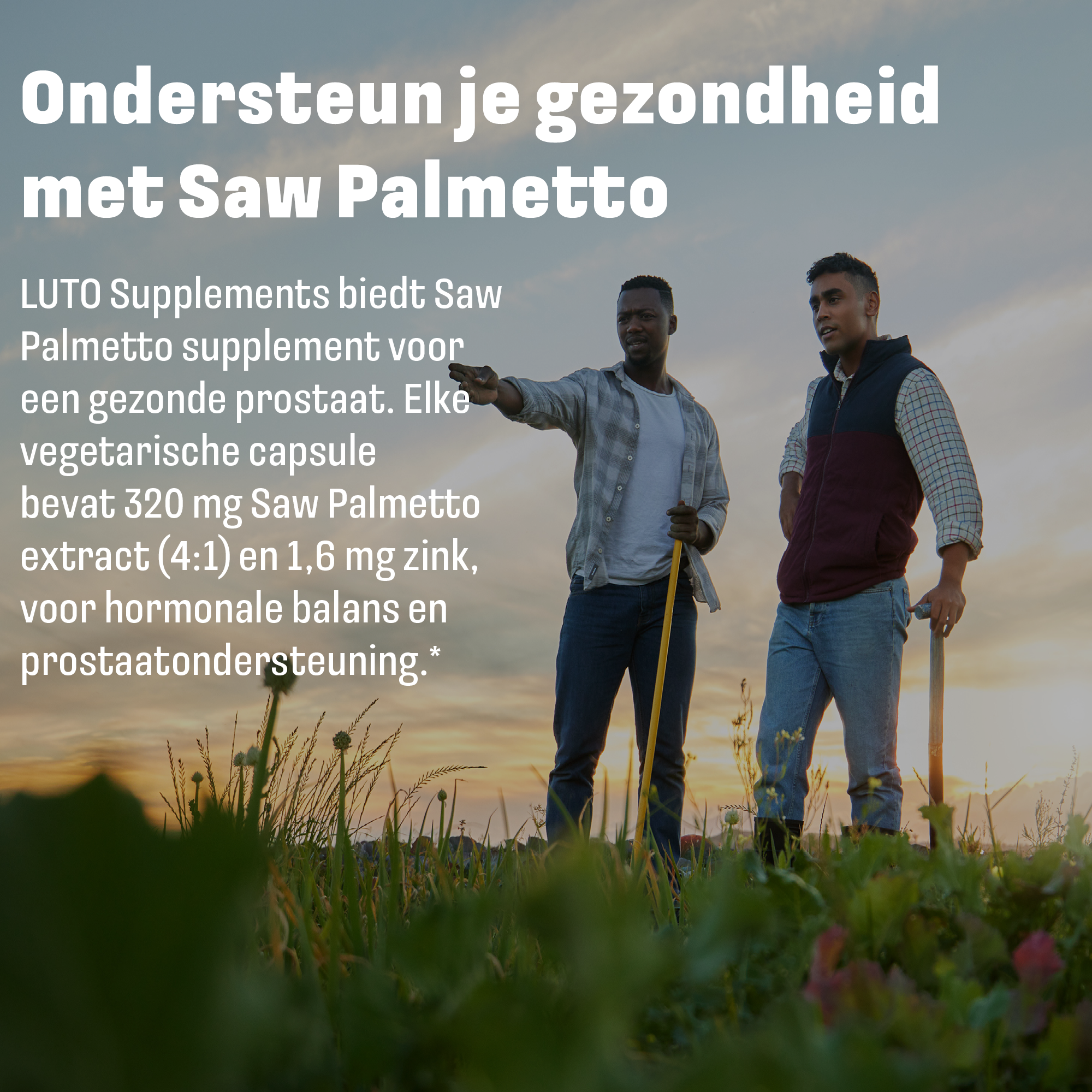 LUTO Saw Palmetto plantaardige capsules voor mannengezondheid en haargroei - dagelijkse ondersteuning