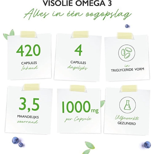 Omega 3 Fischöl Triglyceridform | 420 Softgels | Vit4ever
