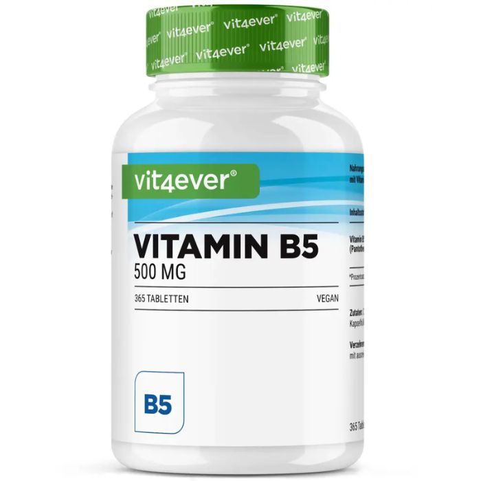 Vitamin B5 (Pantothensäure) 500 mg Vit4ever – Nahrungsergänzungsmittel | kaufen in Deutschland und Österreich