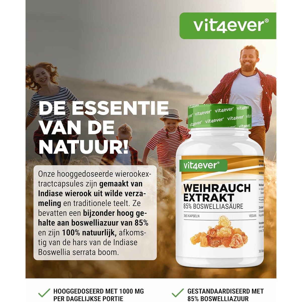 Indischer Boswellia Serrata 1000mg | 240 oder 365 Kapseln | Vit4ever