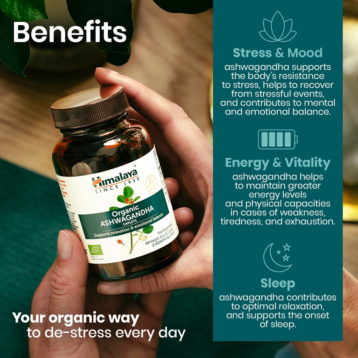 Bio Ashwagandha 670mg | 60 Tabletten | Himalaya