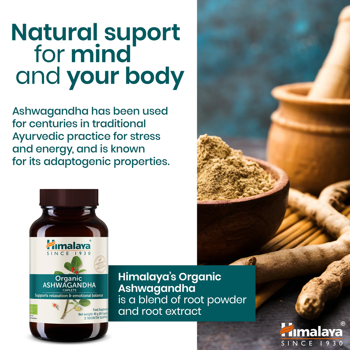Bio Ashwagandha 670mg | 60 Tabletten | Himalaya