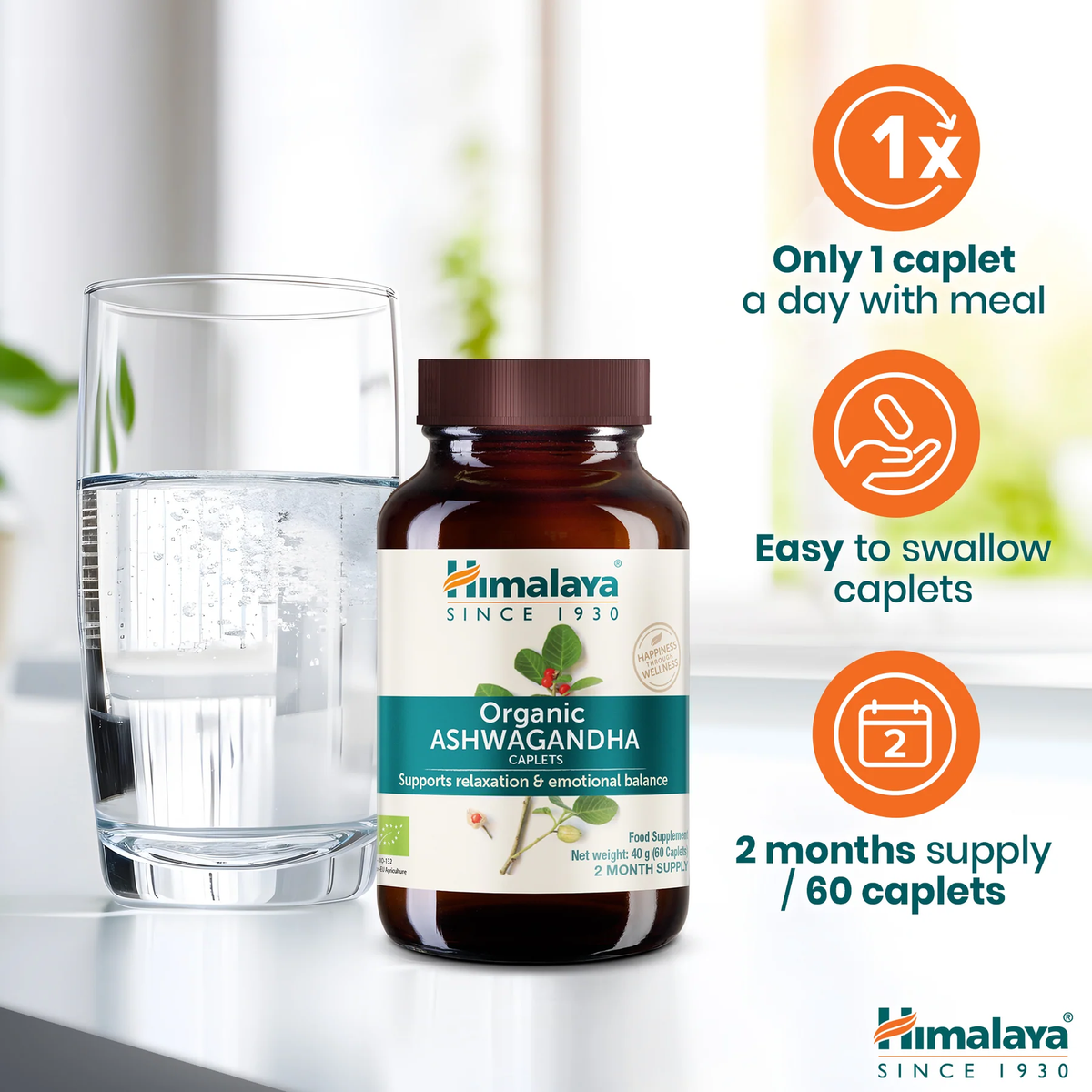 Bio Ashwagandha 670mg | 60 Tabletten | Himalaya