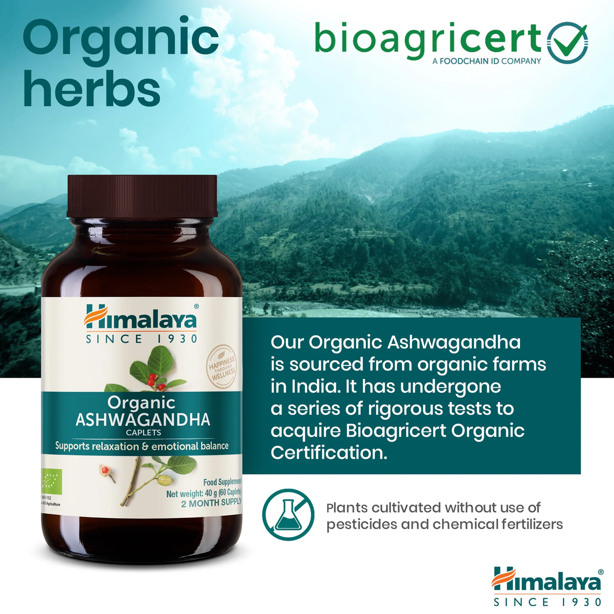Bio Ashwagandha 670mg | 60 Tabletten | Himalaya