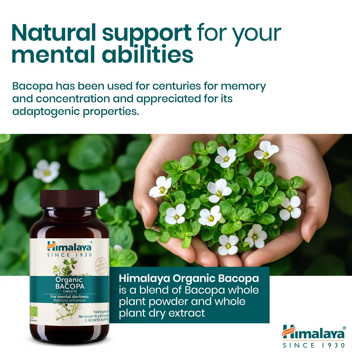 Organic Bacopa 750mg | 60 Tabletten | Himalaya