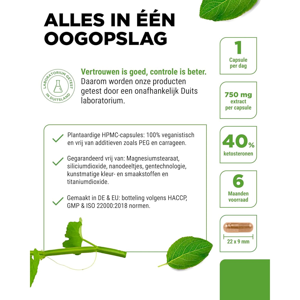 Cissus Quadrangularis Extrakt | 40% Ketosteron | Vit4ever