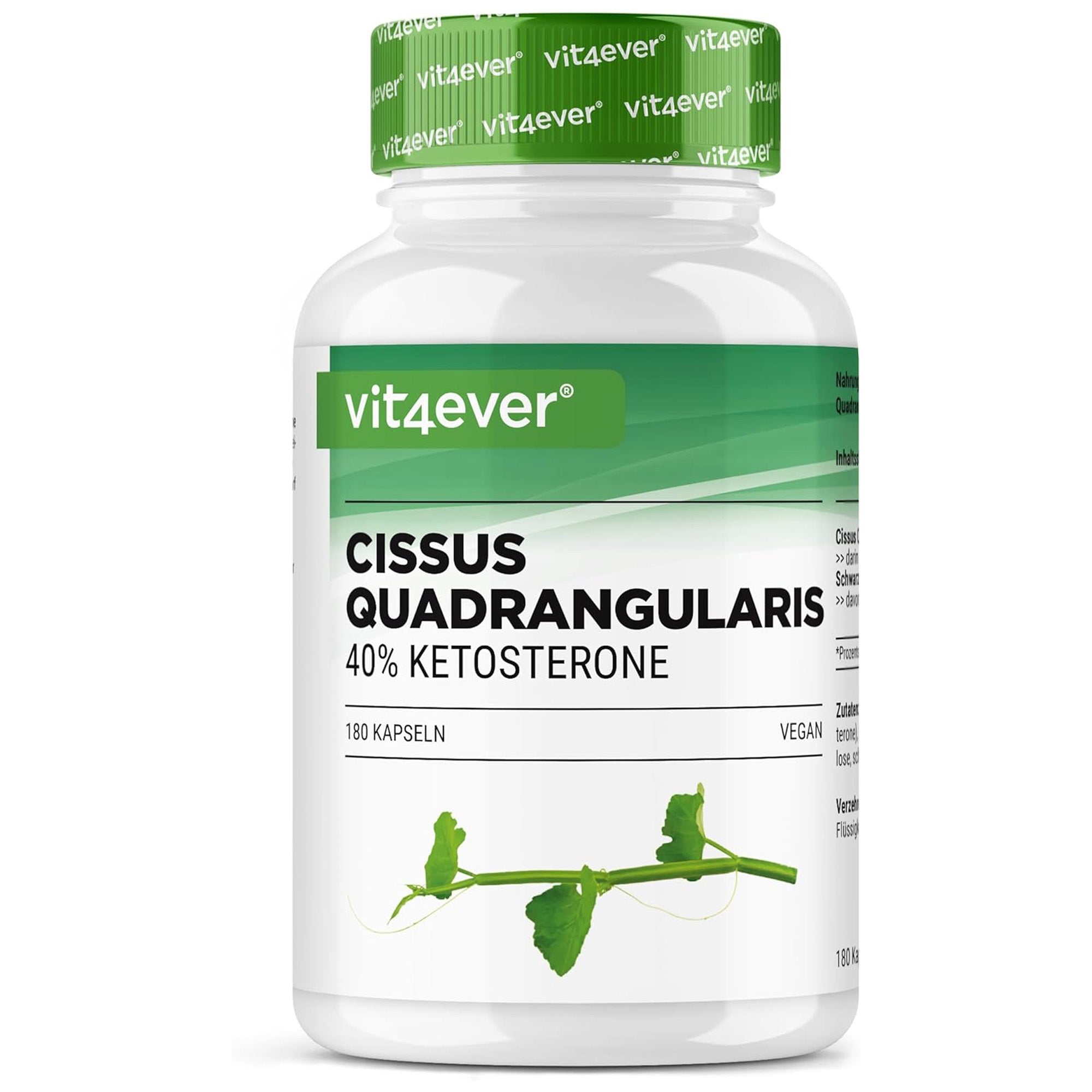 Vit4ever Cissus Quadrangularis 725mg - 180 Kapseln