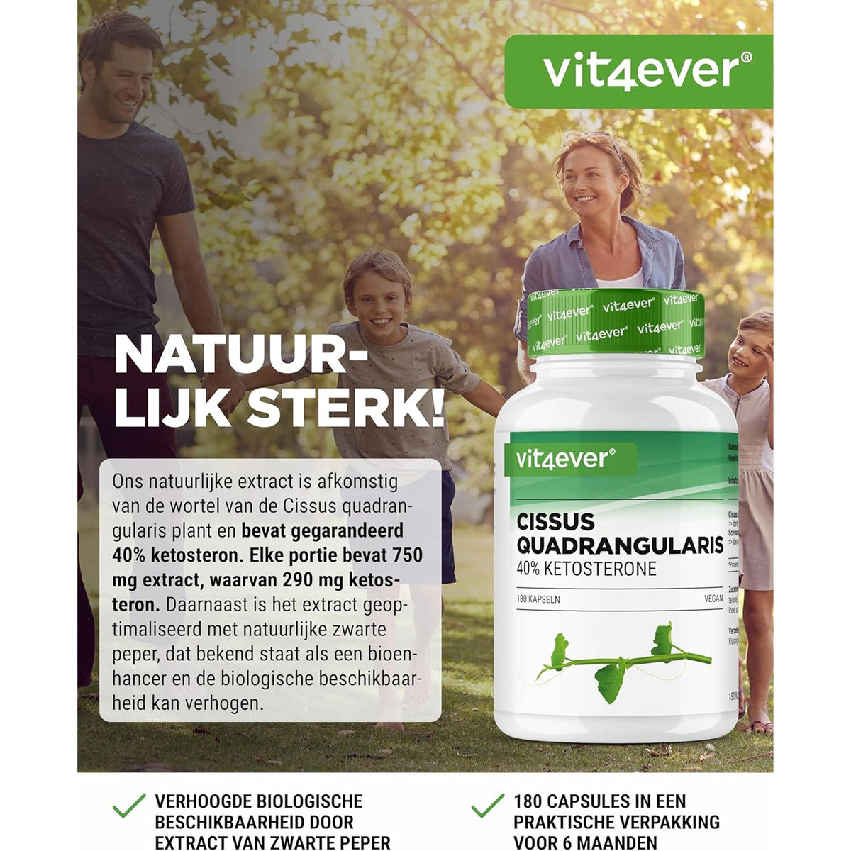 Cissus Quadrangularis Extrakt | 40% Ketosteron | Vit4ever