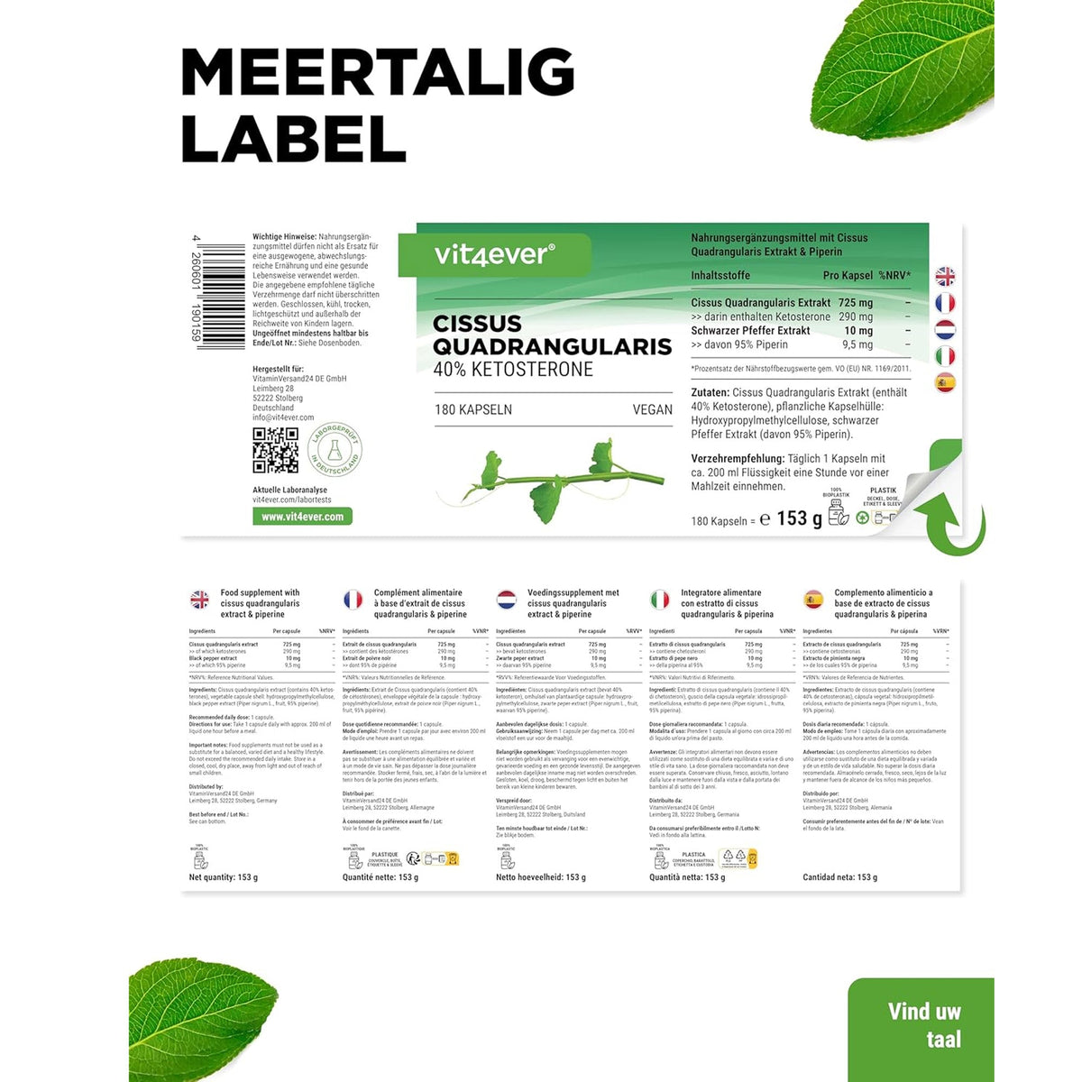 Cissus Quadrangularis Extrakt | 40% Ketosteron | Vit4ever