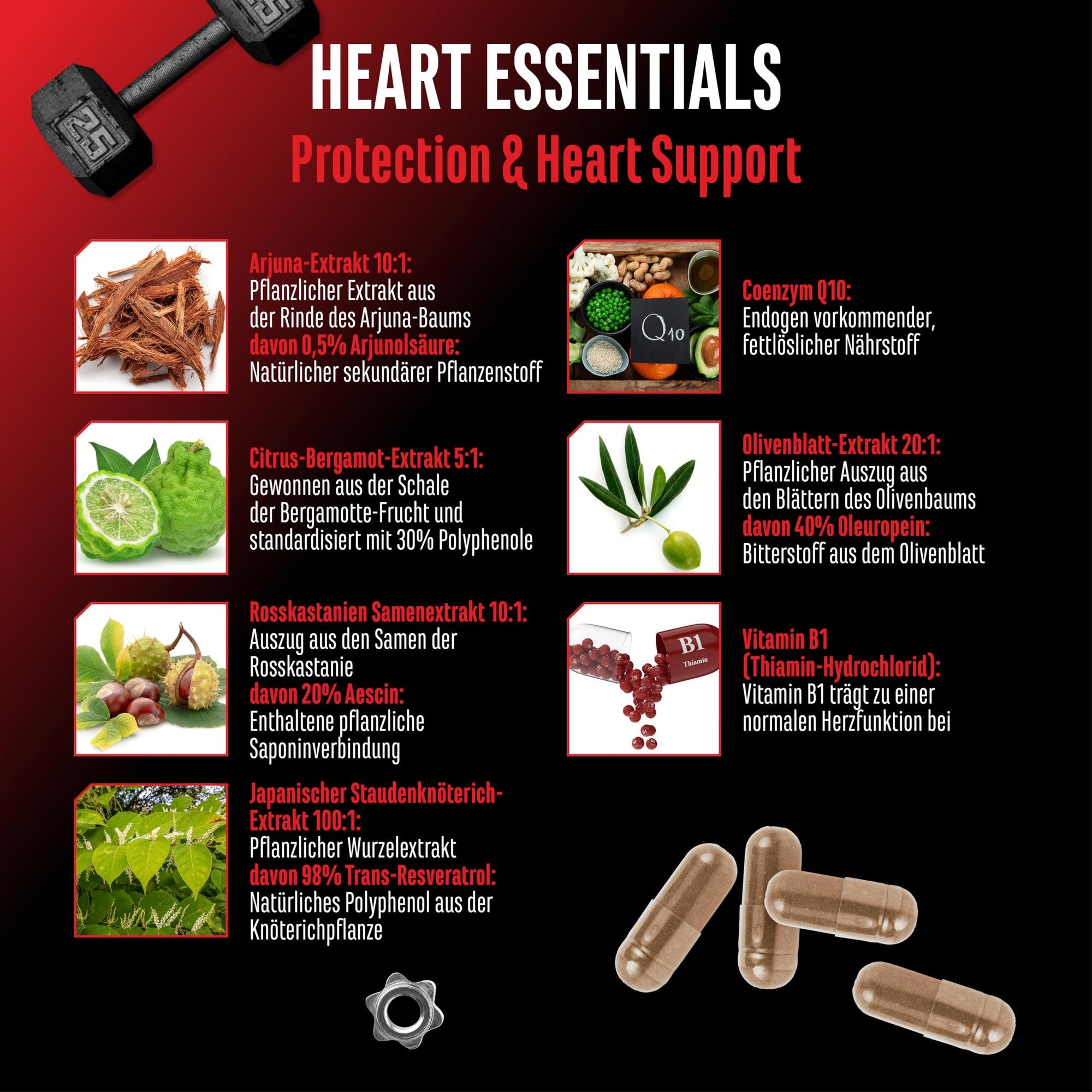 GEN Heart Essentials 120 Kapseln – Wirkstoffe & Dosierung