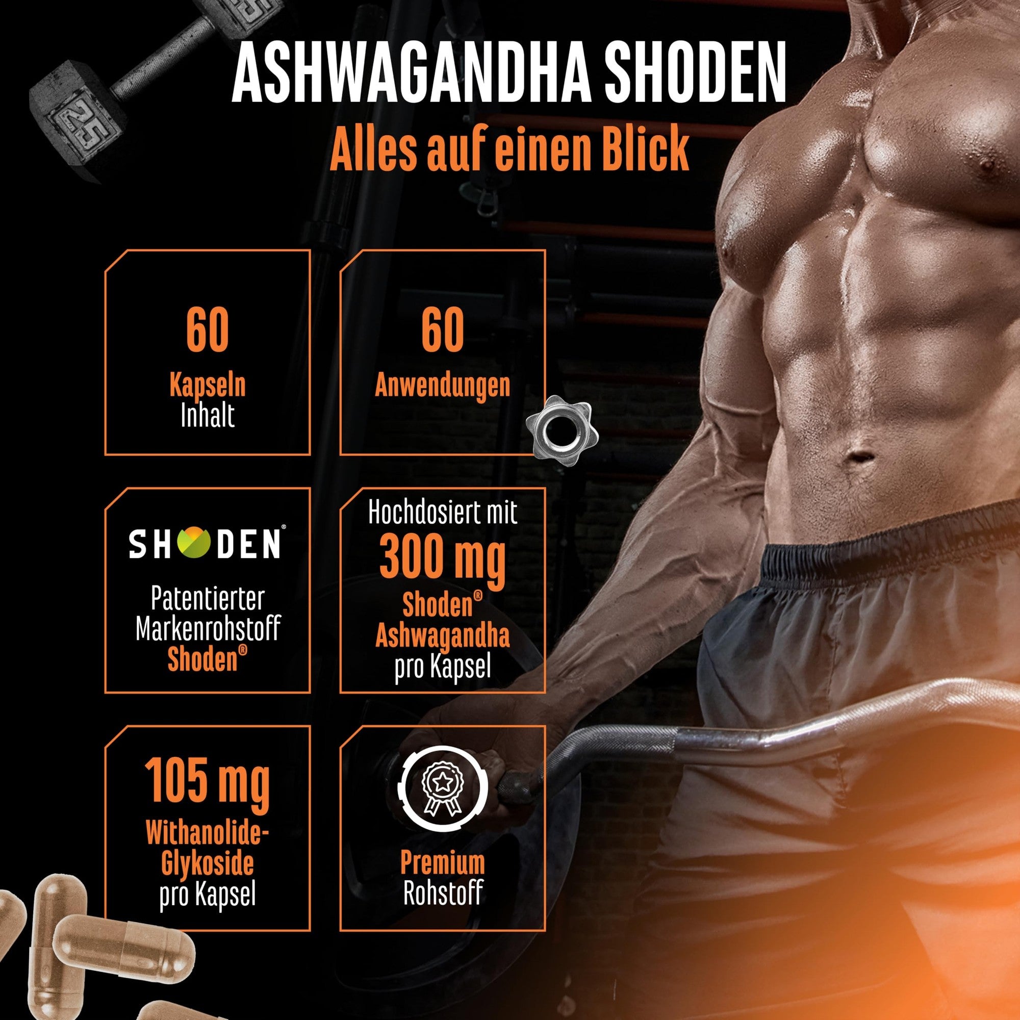 Ashwagandha Shoden 35% 60 Kapseln – Produktübersicht